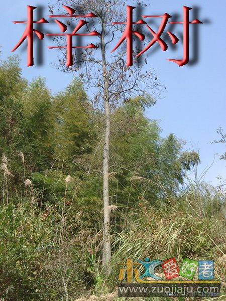 11080008_调整大小.jpg