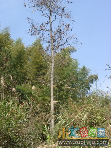 11080008_调整大小.JPG