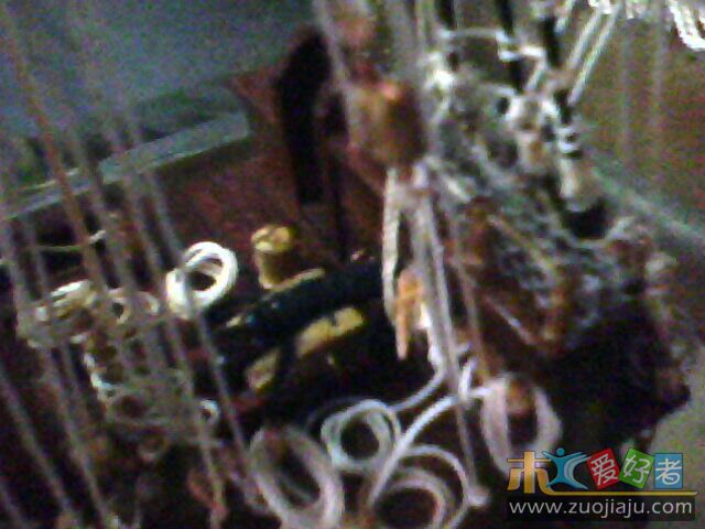 IMG0851A.jpg