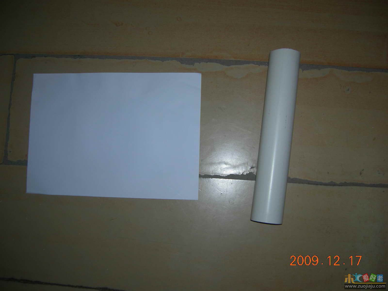 DSCN0781.jpg