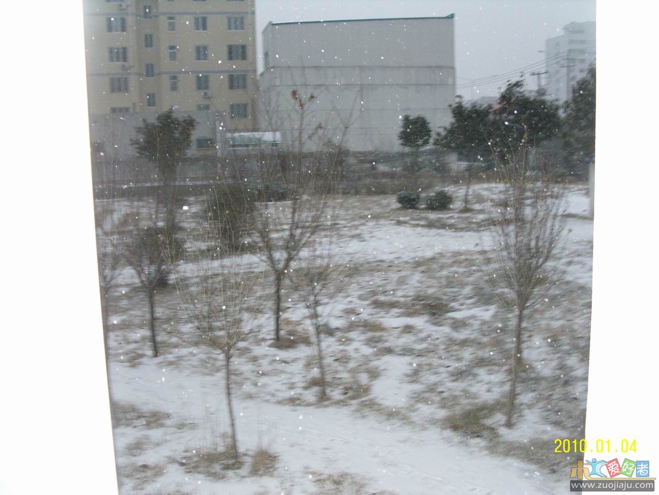 SNV12318.JPG