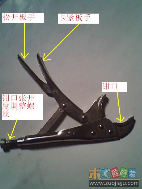 IMG0250A.jpg