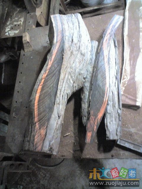 08-01-10_2313.jpg