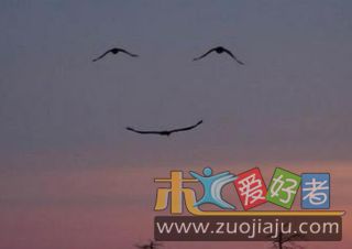 未命名tr5.jpg
