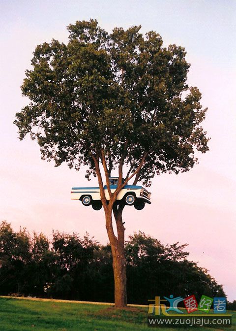 truck-in-the-tree.jpg