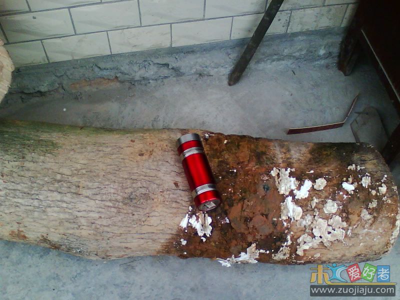 IMG0130A.jpg
