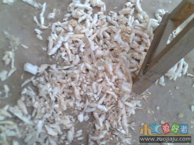 IMG0236A.jpg