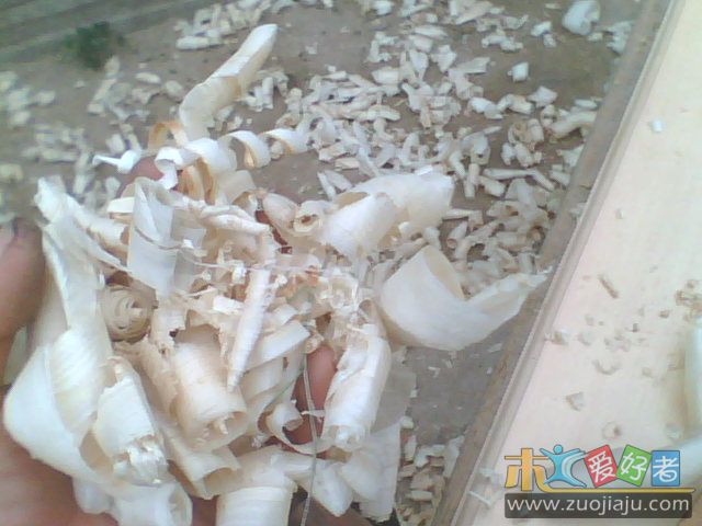 IMG0235A.jpg