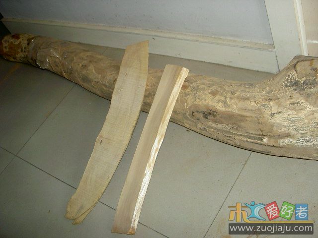 PICT5103.JPG