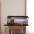 fish tank stand