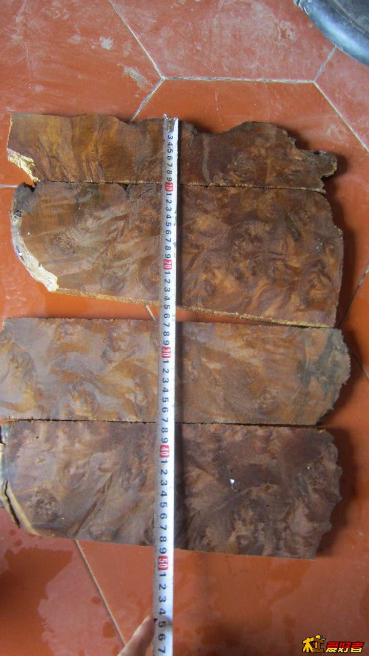 木祥坊黄金楠瘤疤料