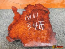 4.2ľ黨